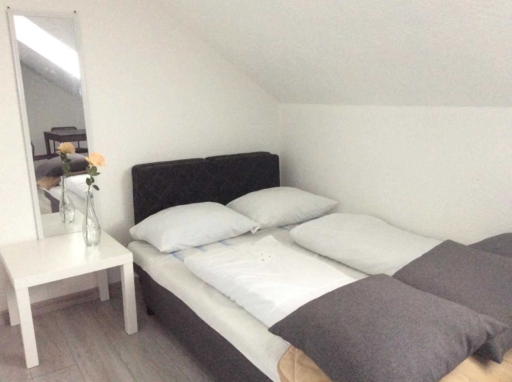 Miko Apartamentai 考纳斯 外观 照片