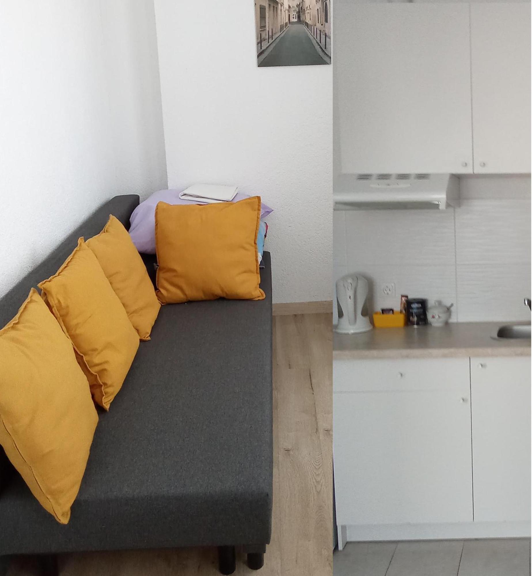 Miko Apartamentai 考纳斯 外观 照片